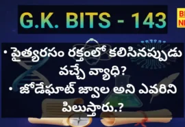 Standard gk bits part 143 - జీకే బిట్స్ - bikki news