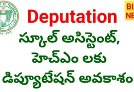Deputation - hm, sa లకు డిప్యూటేషన్ అవకాశం - bikki news