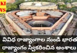 Elements adopted by indian constitution - వివిధ రాజ్యాంగాల నుండి భారత రాజ్యాంగం స్వీకరించిన అంశాలు - bikki news