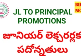Jl to principal promotions - మరో 19 మంది జేఎల్స్ కు పదోన్నతి - bikki news