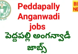 Peddapally anganwadi jobs - పెద్దపల్లి జిల్లాలో 64 అంగన్వాడీ ఉద్యోగాలు - bikki news