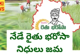 Rythu bharosa - నేడు రైతు భరోసా నిధులు విడుదల - bikki news