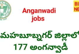 Telangana aanganwadi jobs notification - 177 అంగన్వాడీ ఉద్యోగాలకు నోటిఫికేషన్ - bikki news