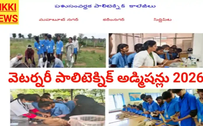 Veterinary polytechnic admissions 2026 - వెటర్నరీ పాలిటెక్నిక్ అడ్మిషన్లు - bikki news