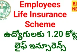 Employees life insurance scheme- తెలంగాణ ఉద్యోగులు, పెన్షనర్లకు భారీ వరం.. రూ. 1. 20 కోట్ల ఉచిత జీవిత బీమా పథకం - bikki news
