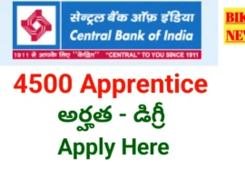 Bank apprentice - సెంట్రల్ బ్యాంక్ ఆఫ్ ఇండియాలో 4500 అప్రెంటిస్ అవకాశాలు - bikki news