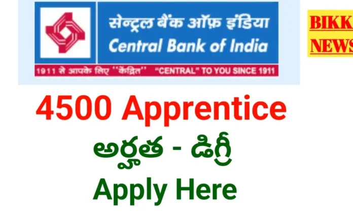 Bank apprentice - సెంట్రల్ బ్యాంక్ ఆఫ్ ఇండియాలో 4500 అప్రెంటిస్ అవకాశాలు - bikki news