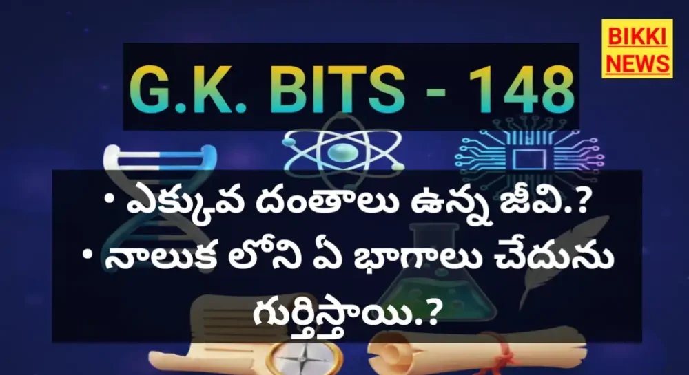 General knowledge bits