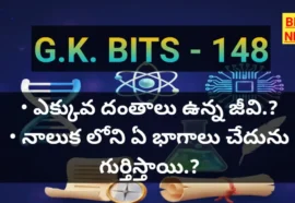 Daily gk bits part 148 - జనరల్ నాలెడ్జ్ - bikki news