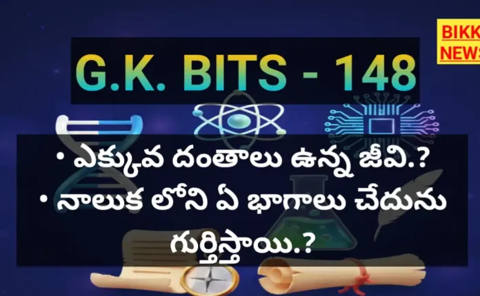 General knowledge bits