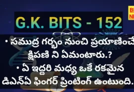 Standard gk bits in telugu 152 - జనరల్ నాలెడ్జ్ బిట్స్ - bikki news