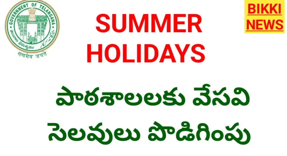 Summer holidays extended