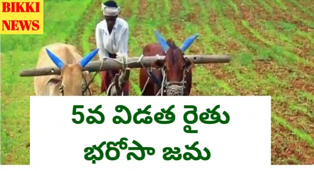 Rythu Bharosa - 5వ విడత రైతు భరోసా జమ Rythu bharosa 5th phase