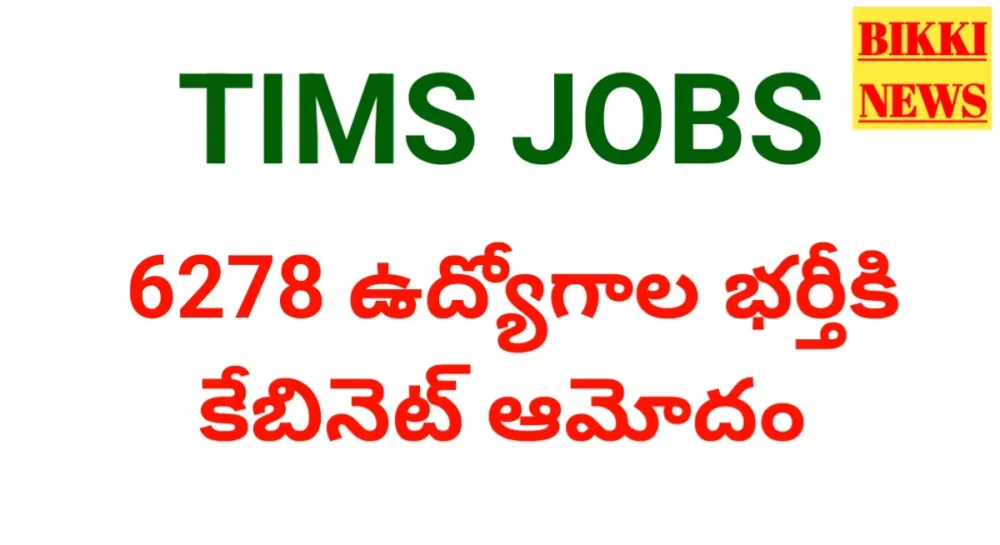 6278 jobs approved in tims by cabinet