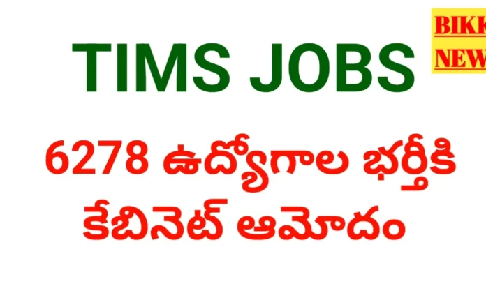 Tims jobs notification