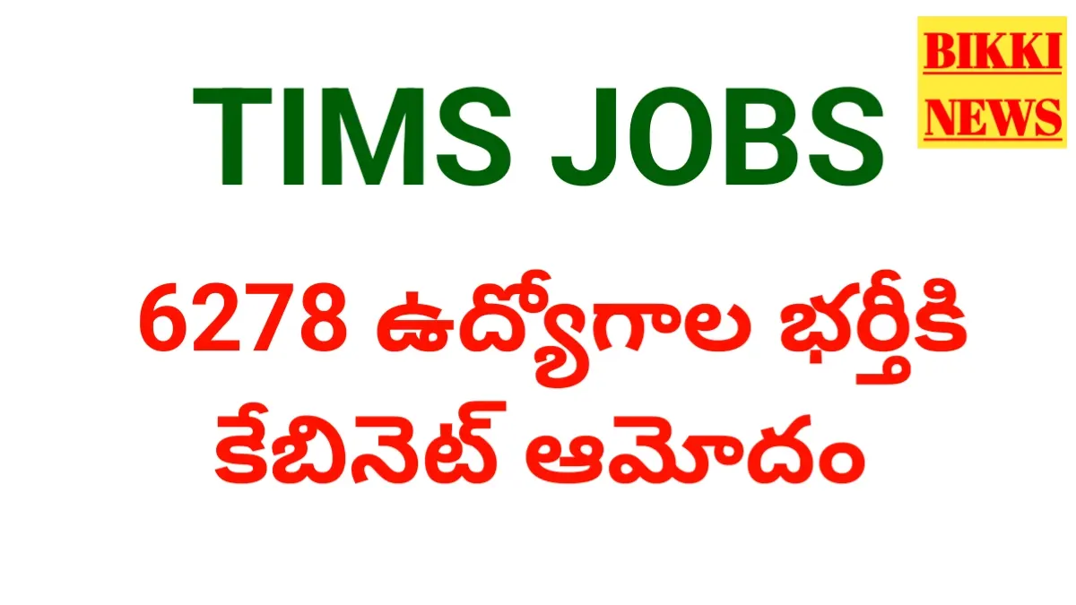 Tims jobs notification