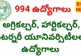 994 jobs notification soon in agriculture university