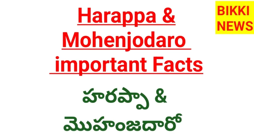 Harappa and mohenjodaro civilizations important facts
