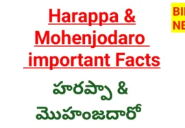 Harappa and mohenjodaro civilizations important facts