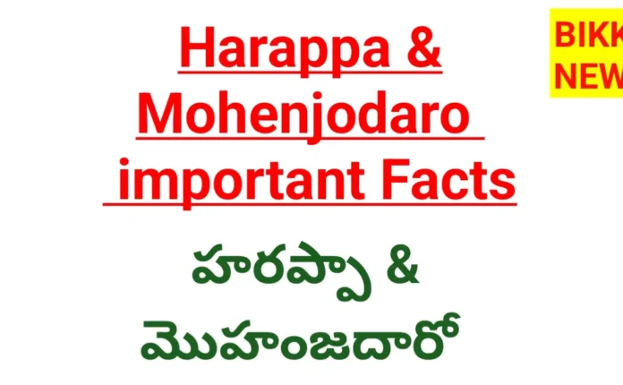 Harappa and mohenjodaro civilizations important facts