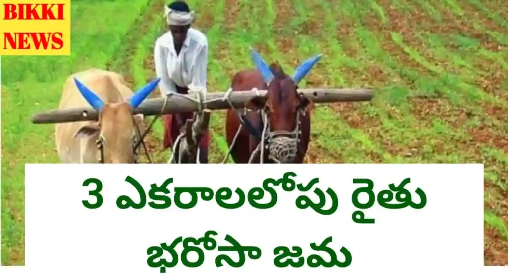 Rythu Bharosa - 3 ఎకరాలలోపు రైతులకు రైతు భరోసా జమ Rythu bharosa amount credited upto 3 acres.