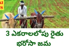 Rythu bharosa amount credited upto 3 acres.