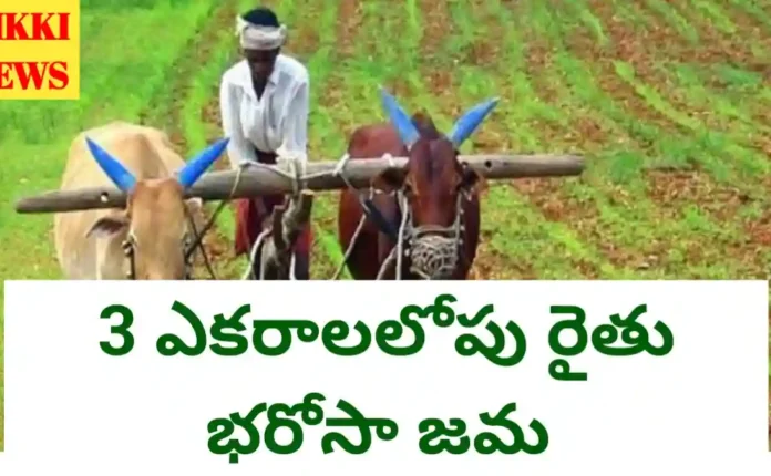 Rythu bharosa amount credited upto 3 acres.