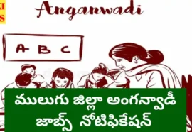 Mulugu district anganwadi recruitment notification 2026