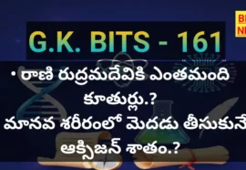 Standard Gk Bits 161 - జీకే బిట్స్ - Bikki News Standard gk bits 161 - bikki news