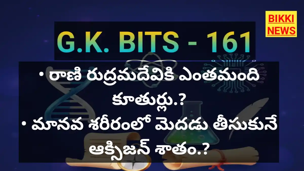 Standard gk bits 161 - bikki news