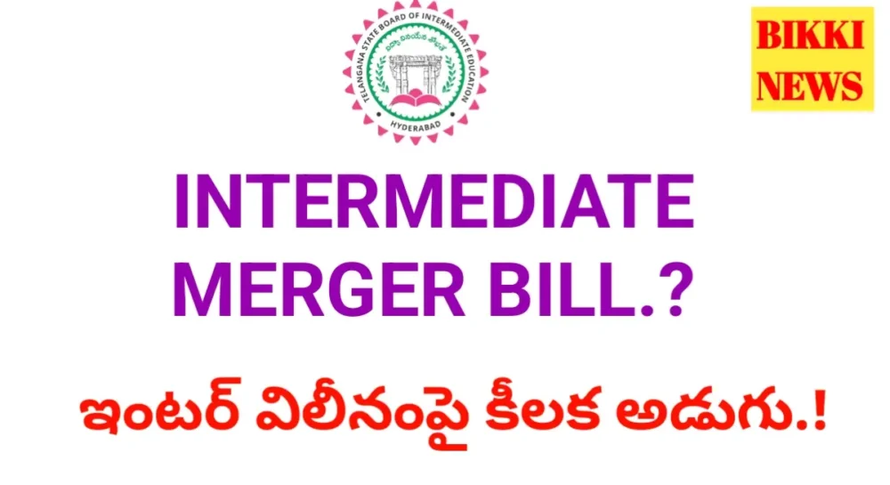 Intermediate merger bill