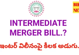 Intermediate merger bill