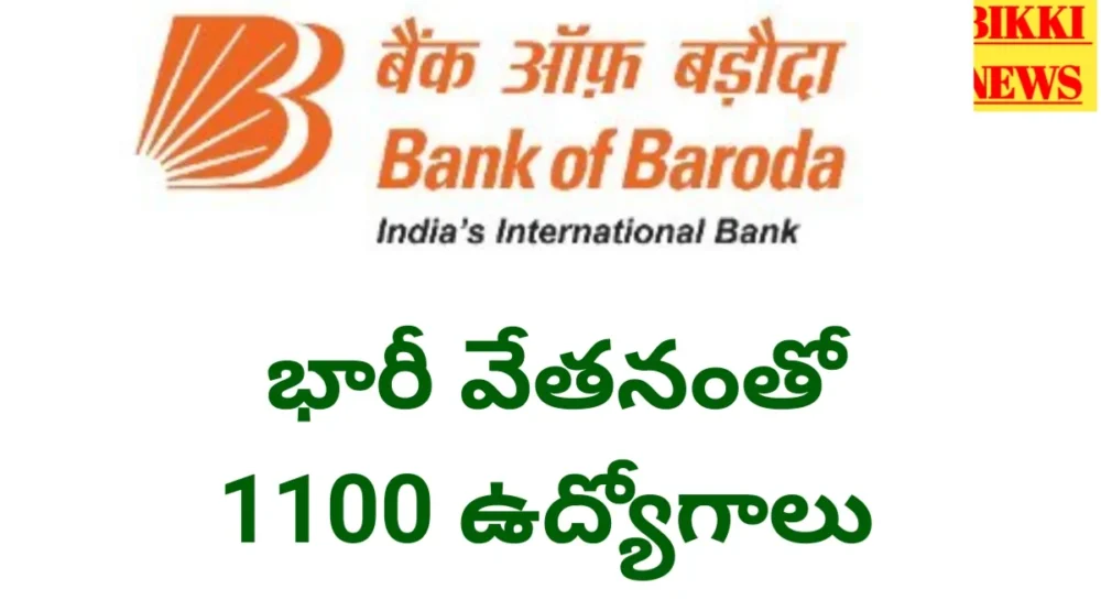 Bank of baroda 1100 wealth executive jobs notification