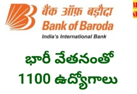 Bank of baroda 1100 wealth executive jobs notification