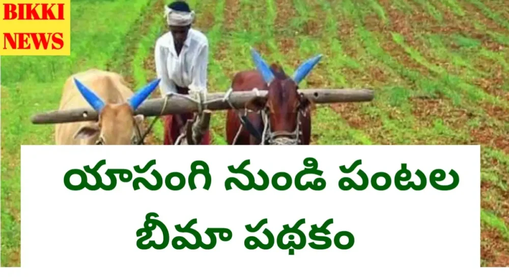 Crop insurance in telangana from this year