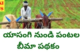 Crop insurance in telangana from this year
