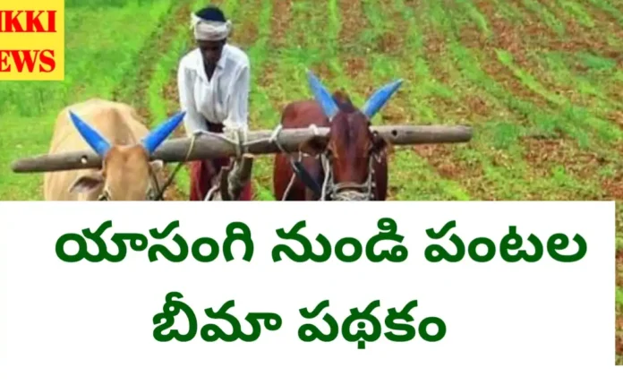Crop insurance in telangana from this year