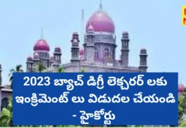 2023 batch dls increment case
