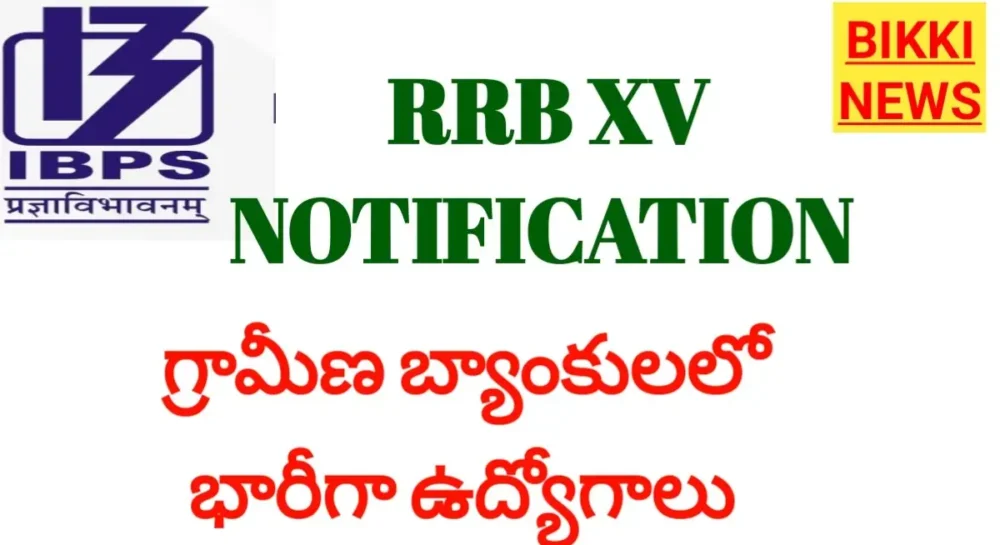 Ibps rrb xv notification 2026