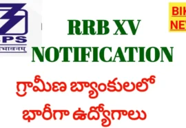 Ibps rrb xv notification 2026