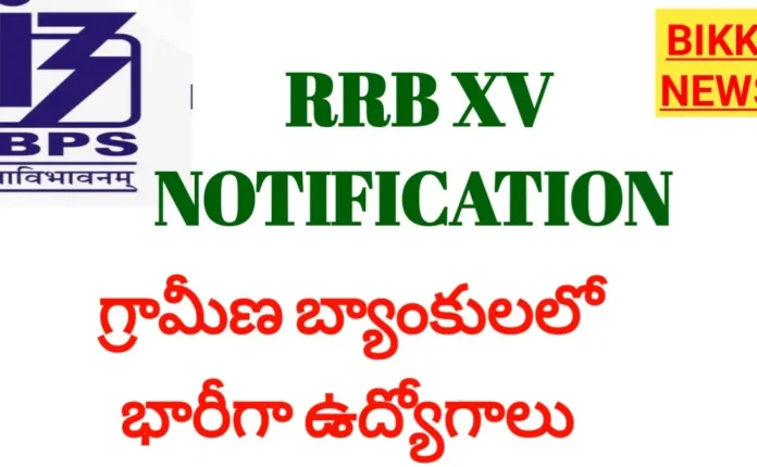 Ibps rrb xv notification 2026