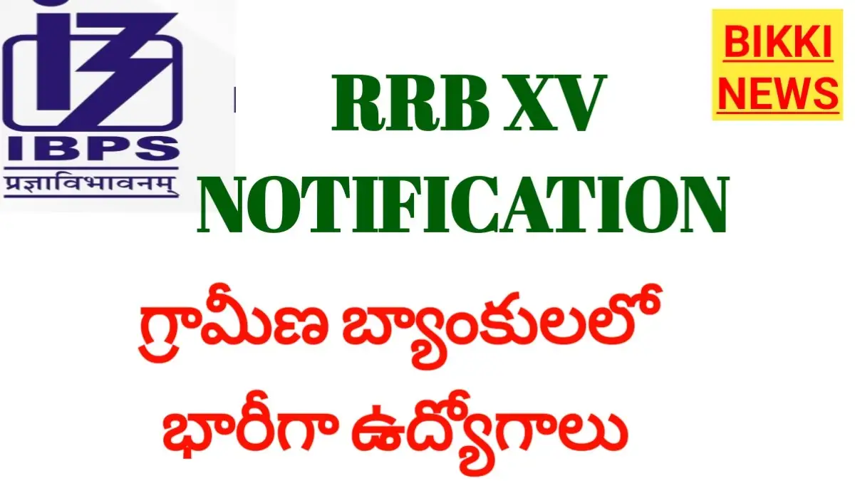 Ibps rrb xv notification 2026