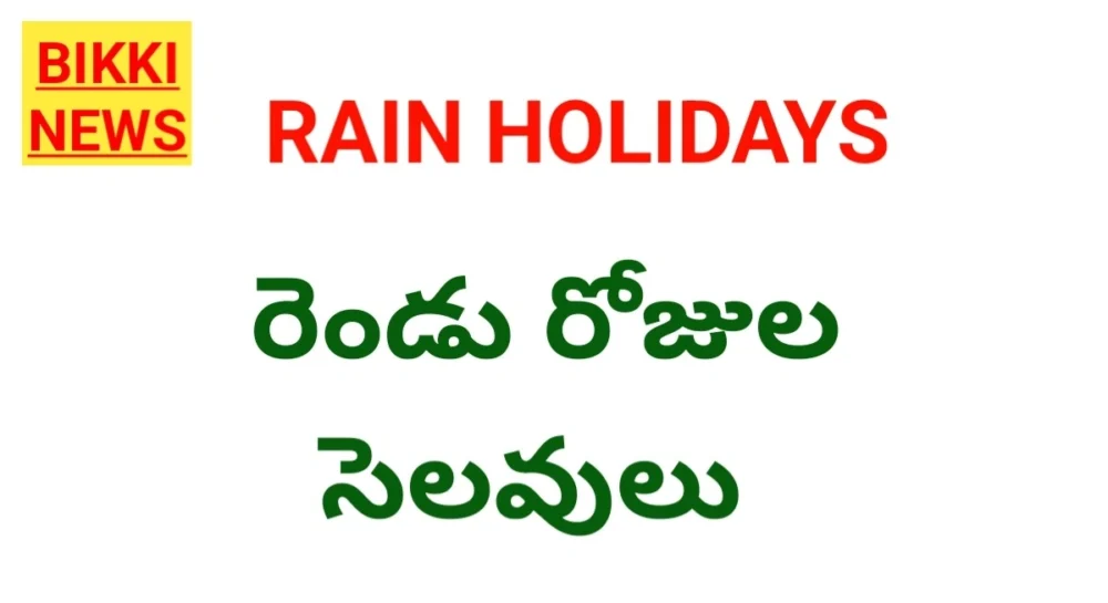 Rain holidays bharadi kothagudem district.