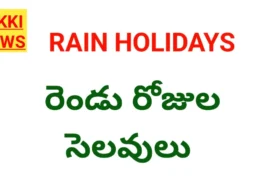Rain holidays bharadi kothagudem district.