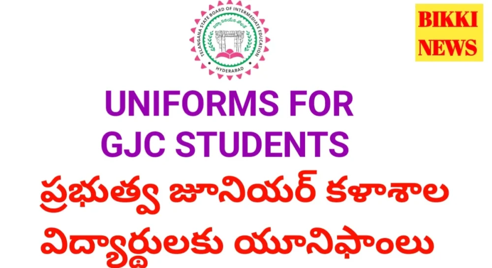 Uniform for government junior college students,
