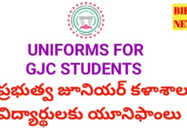 Uniform for government junior college students,