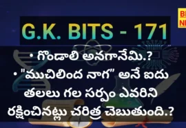 Daily telugu gk bits by bikki news