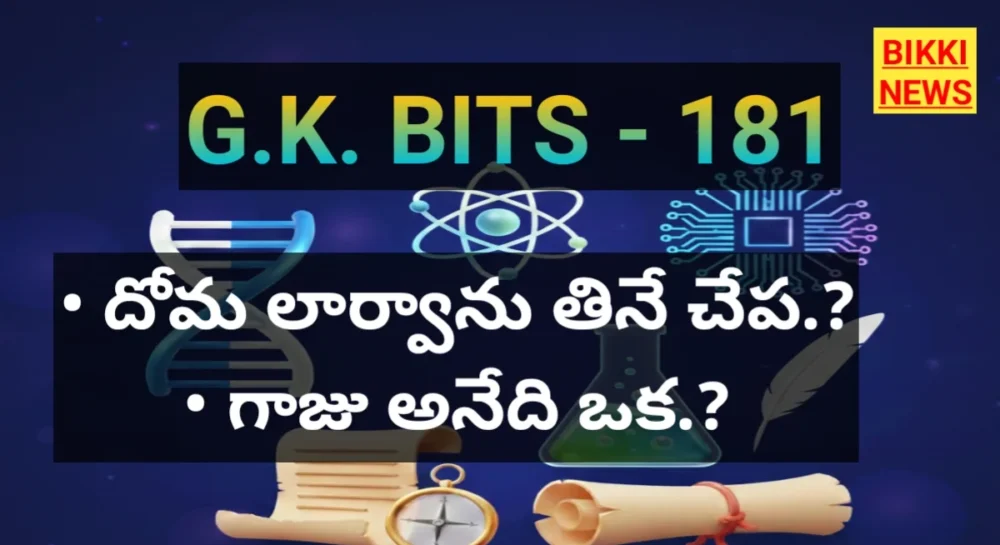 జీకే బిట్స్