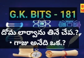 జీకే బిట్స్