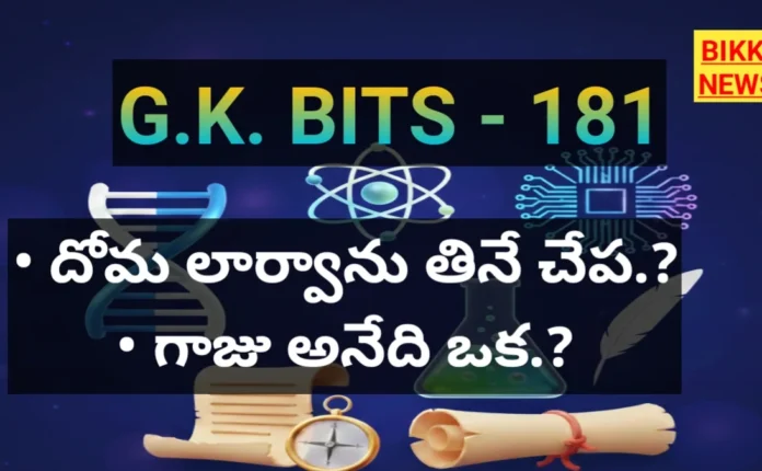 జీకే బిట్స్